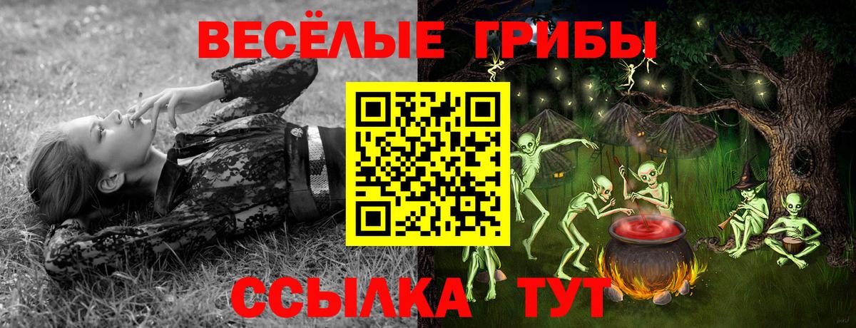 Галлюциногенные грибы GOLDEN TEACHER Воткинск